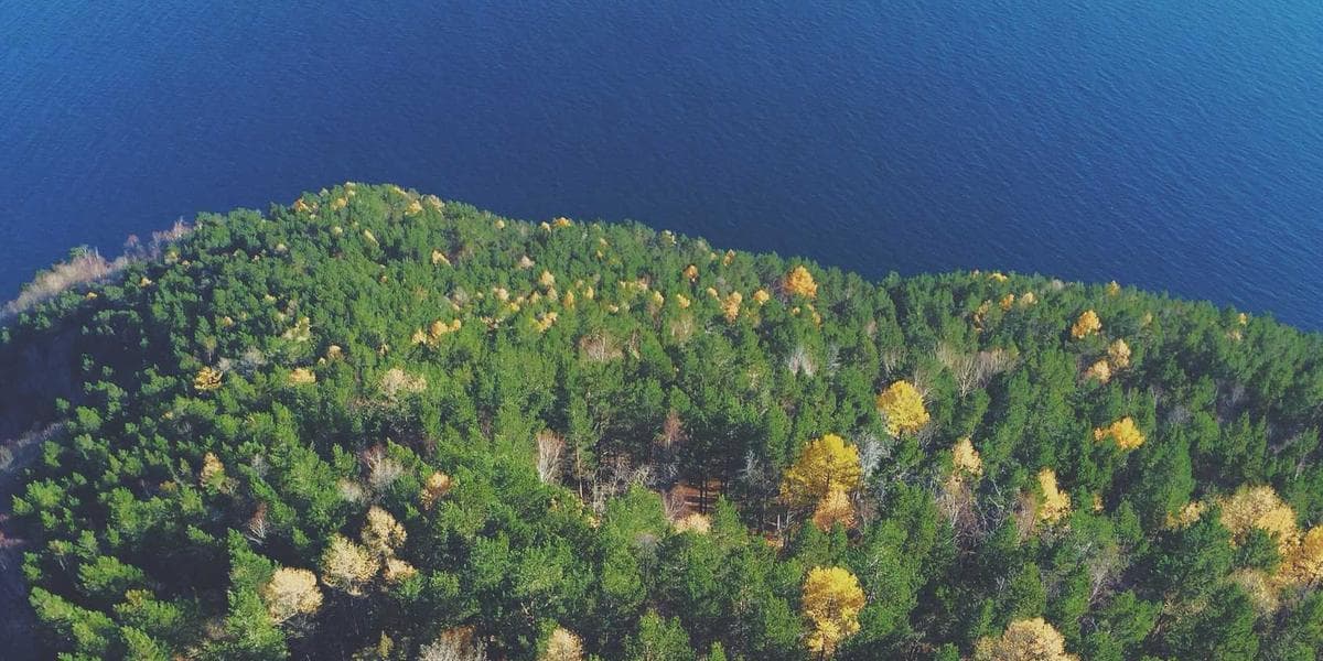 Contact Lenses vs Eyeglasses – Which Is Better for You?